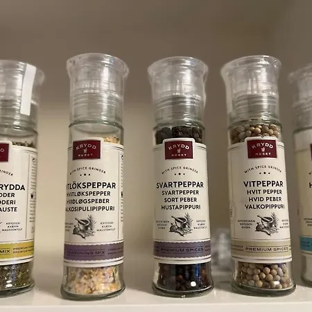 Budget - Snorres Gate 4b - 3